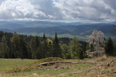 Panorama spod Chatki Gibasówki - 2