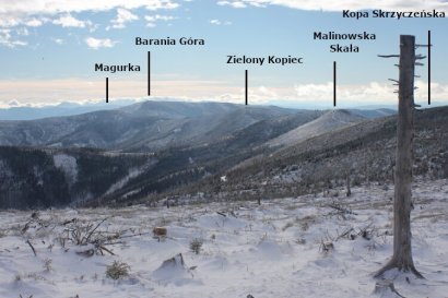 Panorama spod Małego Skrzycznego ku Baraniej Górze