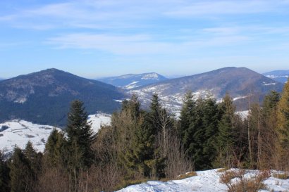 Polana Widny Zrąbek na Łopieniu: widok na Ćwilin i Śnieżnicę