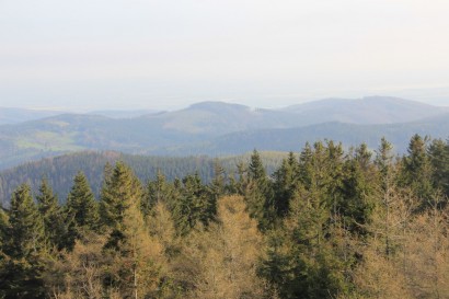 Czernica - widok na czeskie Góry Złote
