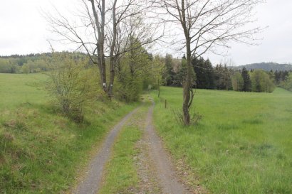 Spacer zielonym szlakiem przez łąkę nieopodal Szwedzkich Szańców