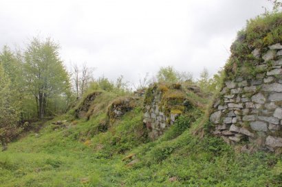 Mury zamku Karpień