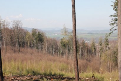 Prześwit z Przedniej Kopy na czeską część Gór Opawskich