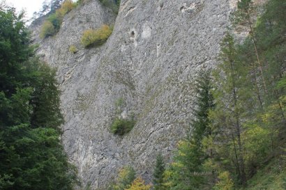 Skalne ściany przy ujściu Leśnickiego Potoku do Dunajca