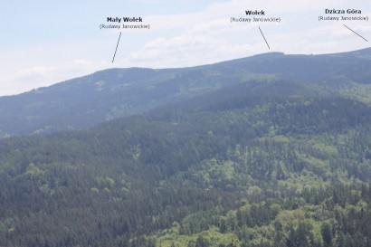 Panorama z Krzyżnej Góry: Wołek i Dzicza Góra