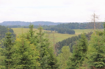 Widoki w drodze na Grodczyn