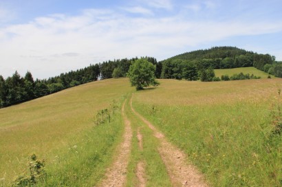 Grodczyn widziany ponad łąkami w drodze na Homole