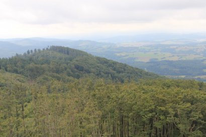 Kłodzka Góra: widok na Jelenią Kopę (niebieski szlak z przełęczy Kłodzkiej)