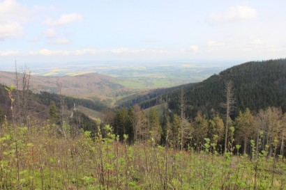Orlicka Kopa: panorama czeskich Gór Złotych
