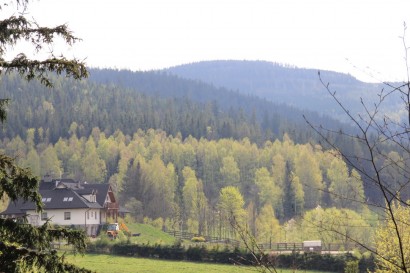 Borůvkový vrch widziany z czerwonego szlaku z Gierałtowa na Przełęcz Gierałtowską