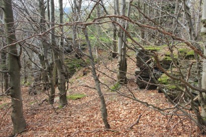 Skały w lesie w okolicach szczytu Łupkowa