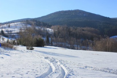 Zielony szlak z przełęczy E. Rydza-Śmigłego na Mogielicę: widok na Mogielicę