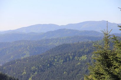 Widok na Gorce (Lubań z prawej w tle) z niebieskiego szlaku ze Szczawy