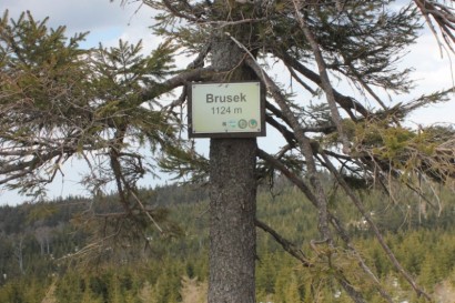 Brusek 1124 lub 1116 m n.p.m. - Góry Bialskie