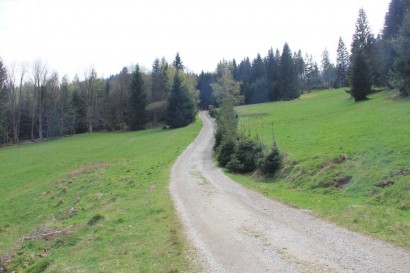Zielony szlak Bielice - Kowadło - łąka nad Bielicami