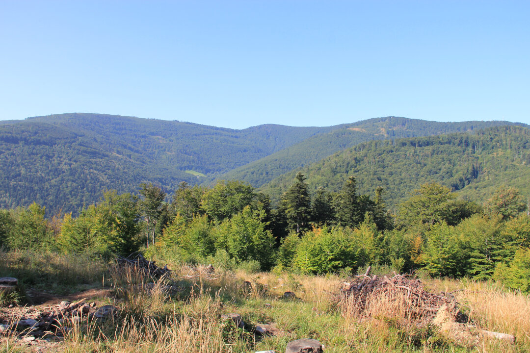 Kozia Góra - widok na (od lewej) Magurę, Klimczok i Szyndzielnię