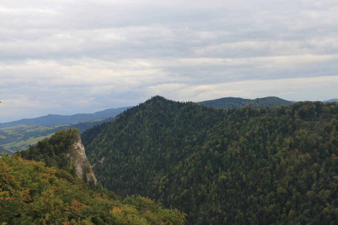 Czertezik - widok na Sokolicę (skalny czub po lewej)