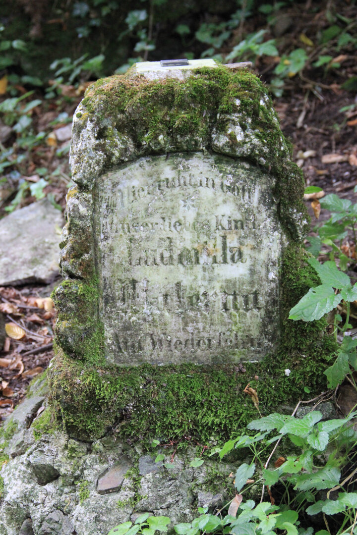 Stary kamień niemiecki przy niebieskim szlaku z Barda na Kalwarię