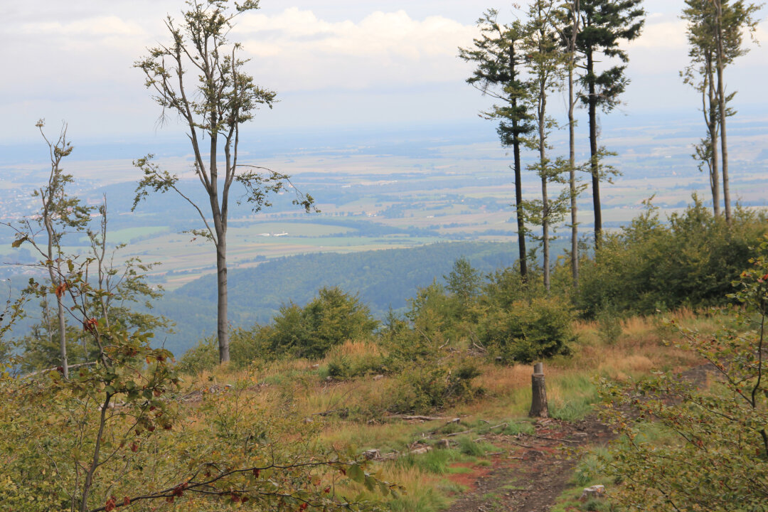 Szeroka Góra - widok na Obniżenie Otmuchowskie