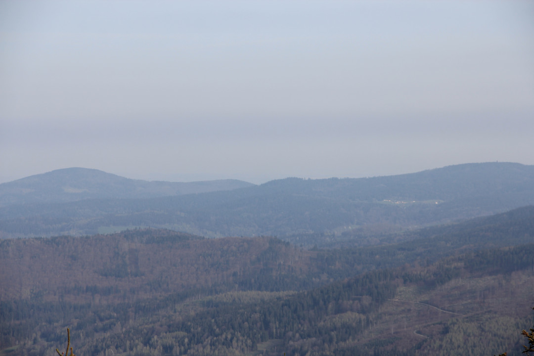 Czernica - widok na zalesione Góry Bialskie