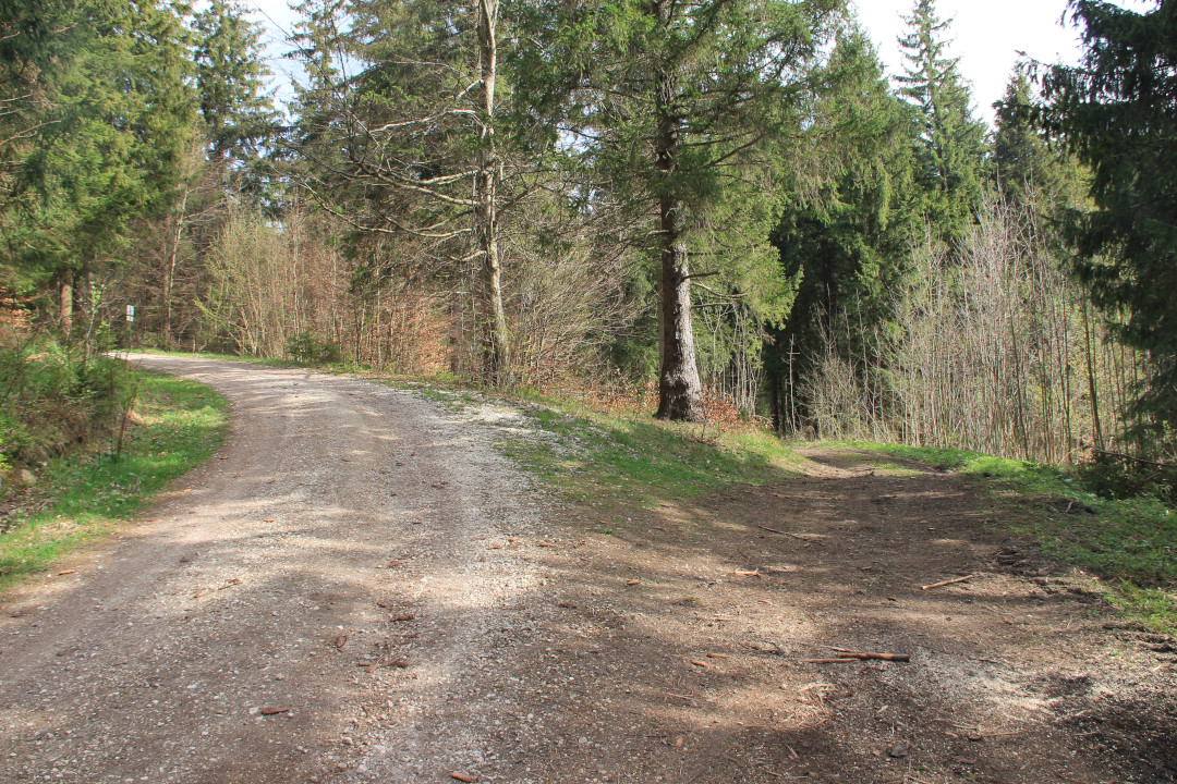 Czerwony szlak Gierałtów - Przełęcz Gierałtowska - odbicie szlaku