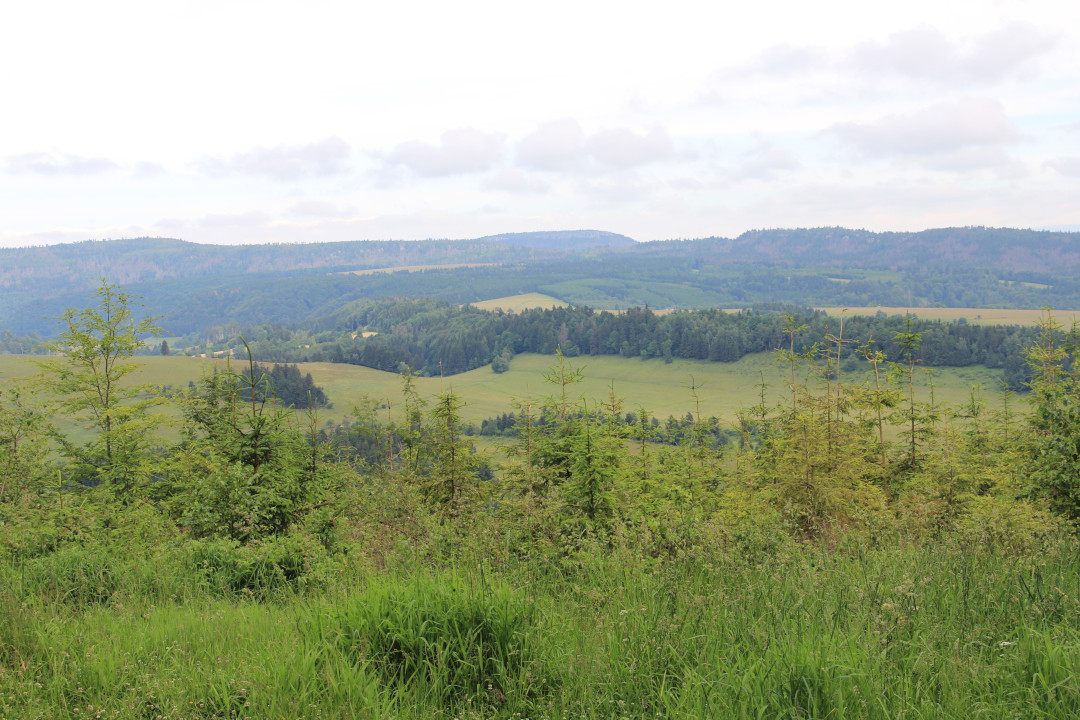 Panorama Wzgórz Lewińskich i Gór Stołowych z Grodczyna