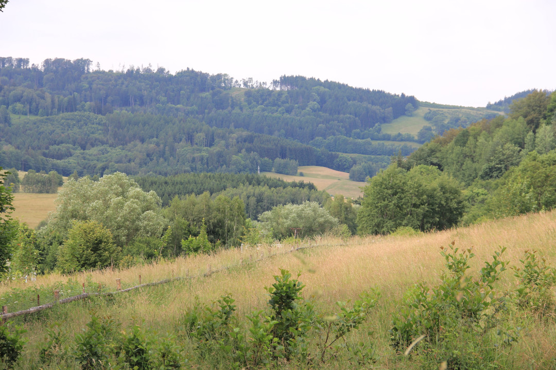 Widok na Wzgórza Lewińskie w drodze na Przełęcz Lewińską z Lewina Kłodzkiego